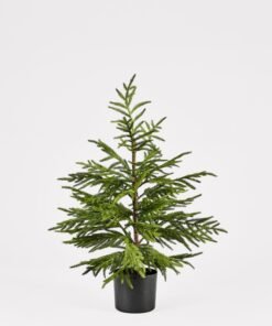 Afloral™ Artificial Norfolk Pine Tree - 36"