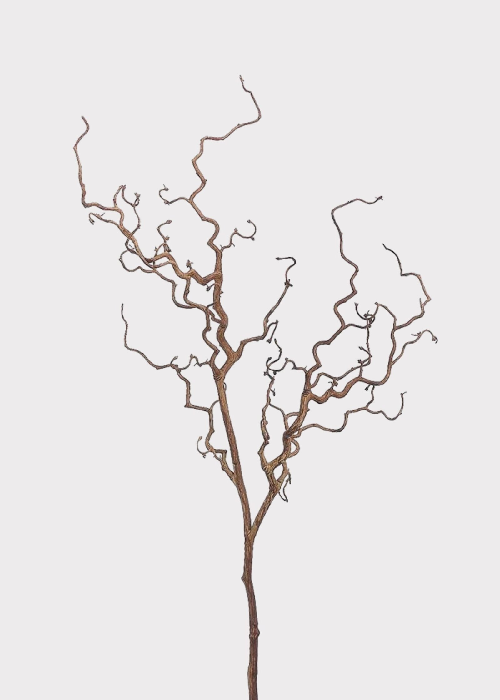 Dried Look Artificial Tall Branch - 47"