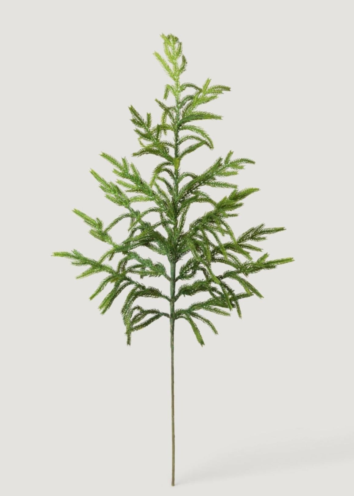Afloral™ Real Touch Norfolk Pine Branch - 36"