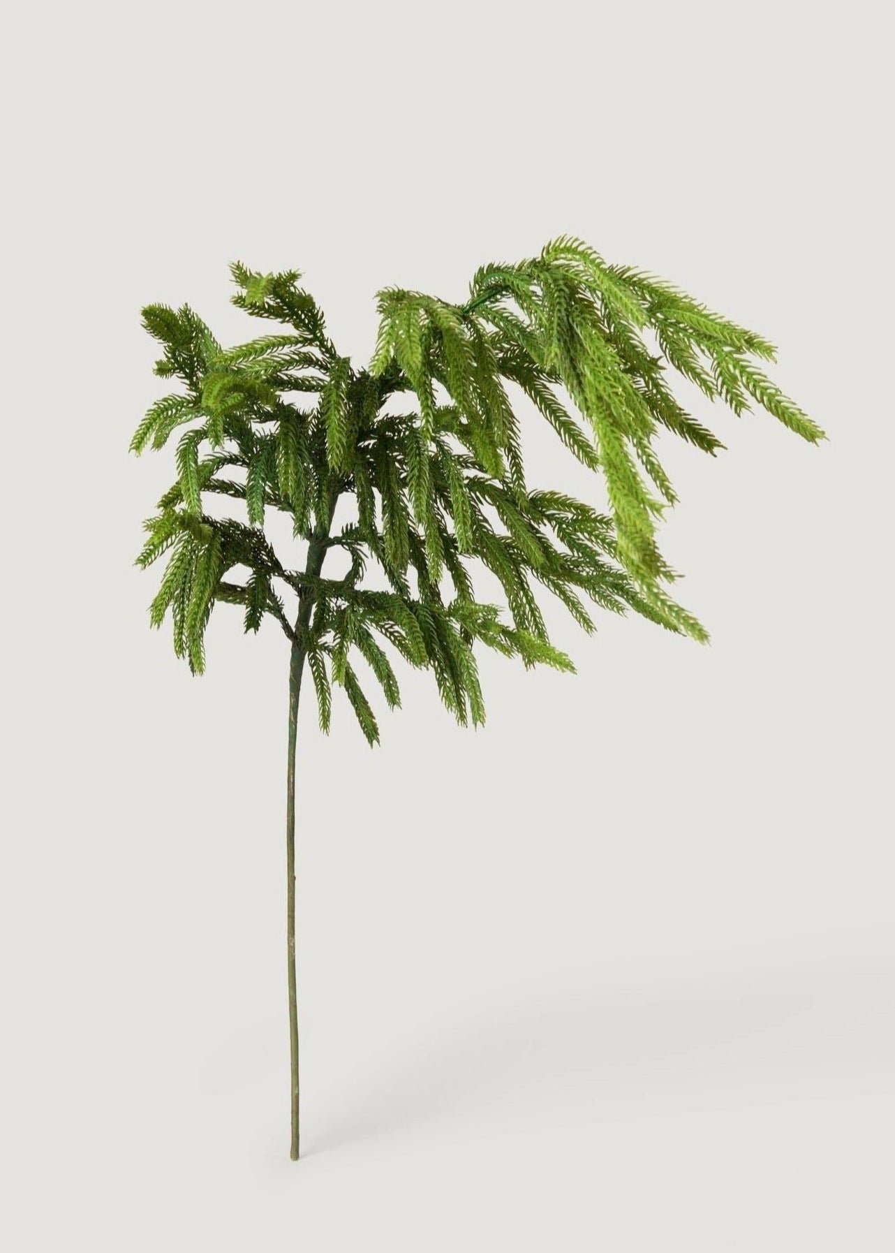 Afloral™ Real Touch Norfolk Pine Branch - 36" - Image 5