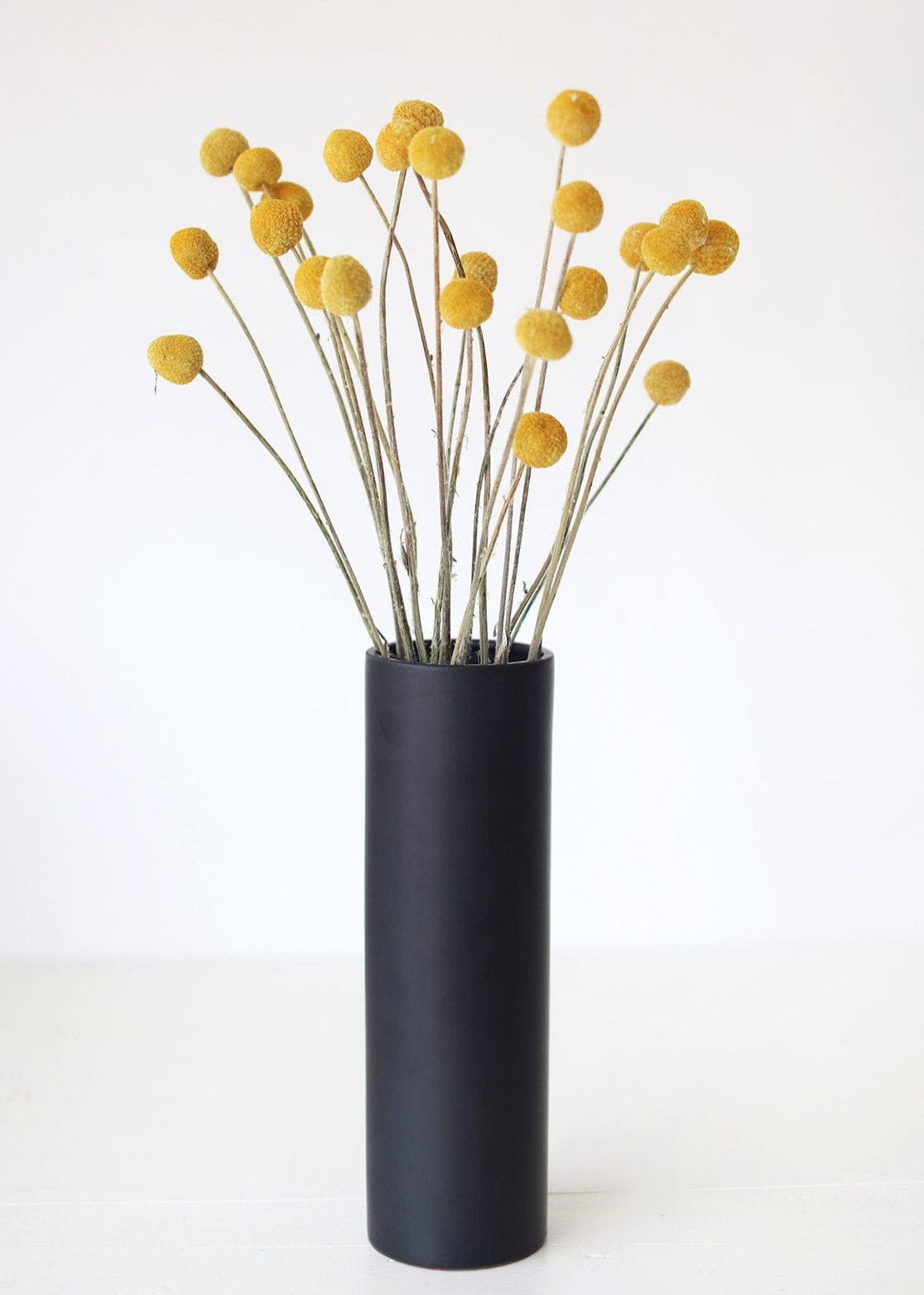 Bundle of 25 Dried Craspedia Billy Buttons - 18-26" - Image 3