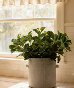 Alternative view of SAVE - Natural Touch Artificial Wax Privet Leaf Plant - 15"
