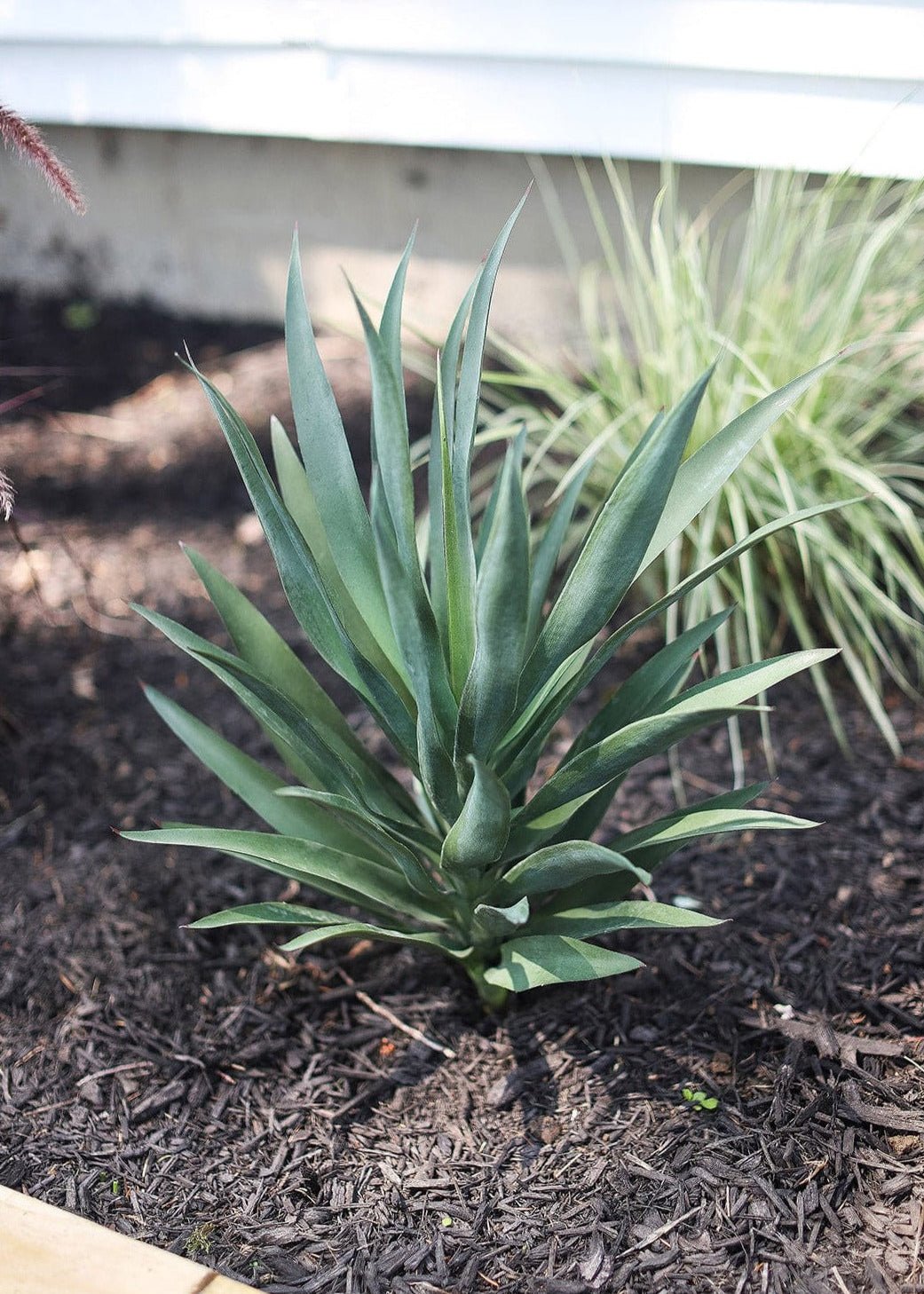 SAVE - UV Resistant Artificial Outdoor Yucca Plant - 27" - Image 2